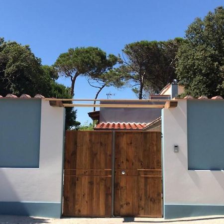 Viareggina Con Giardino Lejlighed Marina Di Pisa Eksteriør billede