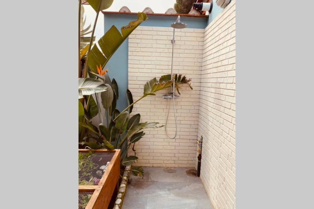 Viareggina Con Giardino Lejlighed Marina Di Pisa Eksteriør billede