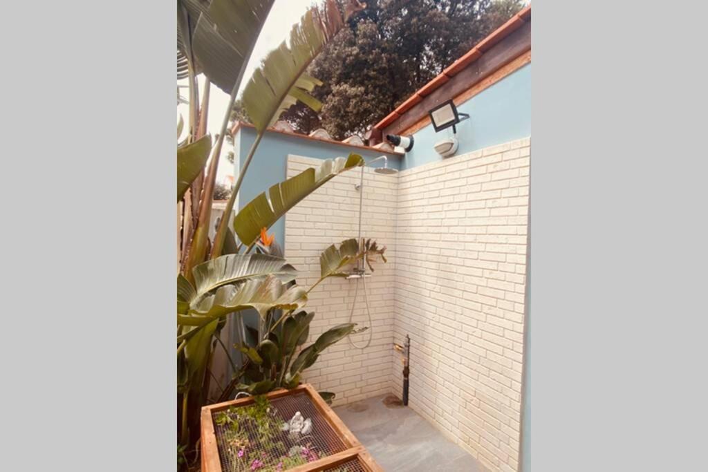 Viareggina Con Giardino Lejlighed Marina Di Pisa Eksteriør billede