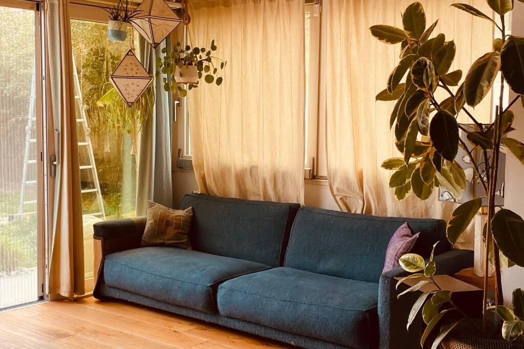 Viareggina Con Giardino Lejlighed Marina Di Pisa Eksteriør billede