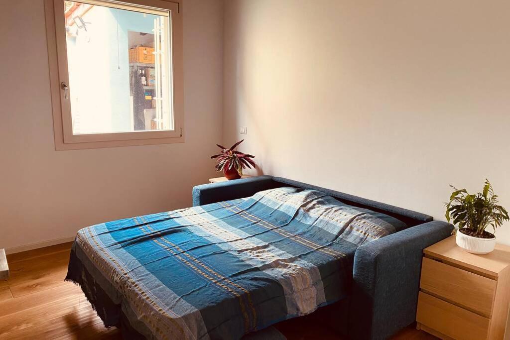 Viareggina Con Giardino Lejlighed Marina Di Pisa Eksteriør billede