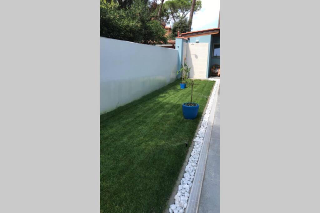 Viareggina Con Giardino Lejlighed Marina Di Pisa Eksteriør billede